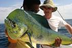 http://www.govisitcostarica.com/images/photos/full-dolphin-fish-costa-rica.jpg