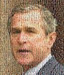 Bush Faces of Dead Soldiers