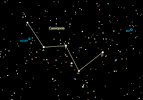 Summer Sky Tour: Polar Constellations