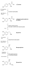 Dopamine - Wikipedia, the free encyclopedia