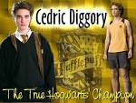 Hufflepuff - Hufflepuff Wallpaper (24004983) - Fanpop