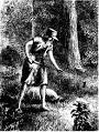 Johnny Appleseed - Wikipedia, the free encyclopedia