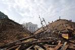 Hundreds of birds filled the sky as earthquake hit Nepals.