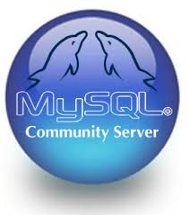  Resetting a forgotten MySQL root password