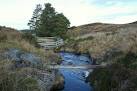 Notice the vermin trap on the "bridge" crossing the burn. - via Daymix