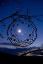 Spaceweather.com: The Great Conjunction of Dec. 1, 2008--Venus ...