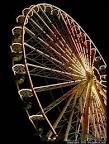 Celebrations and Ferris Wheels « Larval Subjects .