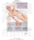 Typhoid <b>Fever</b>: <b>Paratyphoid</b>