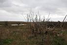 The National Trust, who own &amp; manage the area have taken the decision not to - via Daymix
