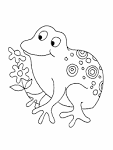 Flor De Izote En Dibujo