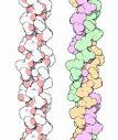 RCSB PDB-