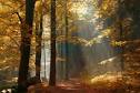 Autumn Funeral and Cremation Services | Funeral Home Portland Oregon (