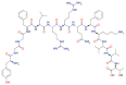 Dynorphin B - Wikipedia, the free encyclopedia