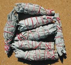 White sage bundle