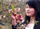 中国榔坪木瓜花都文化旅游节开幕