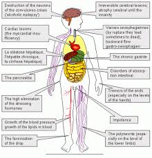 The alcohol's effect on the body