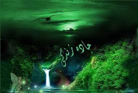 images
