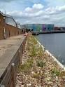 Urban Habitats -- Rare Invertebrates Colonizing Green Roofs in London