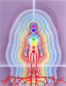 Chakras and the Body Mind Interface