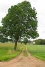 This path leads from Lymes Rd to the University Campus - via Daymix