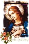 http://www.catholictradition.org/Mary/hail-mary1.jpg