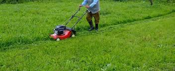 images?q=tbn:ANd9GcRB0huCG7Jz0f-nMnlpWEMNy1wcZMRGx6gz2N60pdiTpgUe3e6D