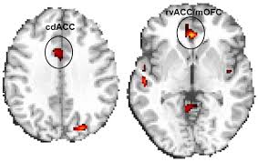 Results suggest further study of potential role in 