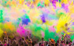 HOLI Activities