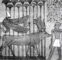 http://www.touregypt.net/images/touregypt/symbolism2-1.jpg