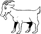 Goat coloring page