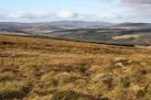 Moorland, Monadh Fergie. The north eastern side of the hill near - via Daymix