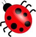 Ladybugs