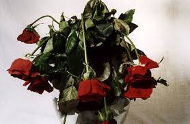 نقره لتكبير أو تصغير الصورة ونقرتين لعرض الصورة في صفحة مستقلة بحجمها الطبيعي