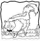 Skunk coloring page