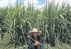 Supreme Court orders vote on Hacienda Luisita | Inquirer News