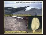 SNOWBALL EARTH