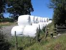 SJ2566 : Giant Marshmallows - via Daymix