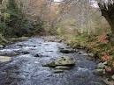 Mr. Keenan - Fishing on the Irati River