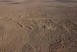 Archaeology News « Sexy Archaeology