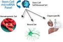 Microrna Research Expression Profiling Stem Cell Collection Overview