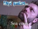 Lloyd ponders sea cows