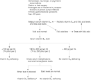 <b>Vitamin B12 Deficiency</b>