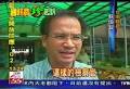 浮報爭議／官田氣氛低迷蘇煥智：相信司法