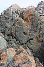 Most people have seen film of red-hot lava swelling out from its source and - via Daymix