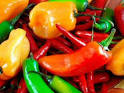 Chilifest - Chili Recipes, Chili News, Chili Cook Offs plus much more