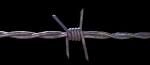File:Barbed wire.jpg - Wikipedia, the free encyclopedia