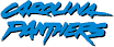 200px-Carolina_Panthers_wordmark_(1996_-_2011).png
