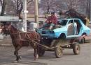 Real Horsepower - Funny Pictures and Funny Jokes