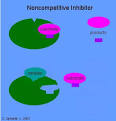 Enzyme Inhibitors
