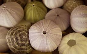 Bretagne Location Riec-sur-Belon
